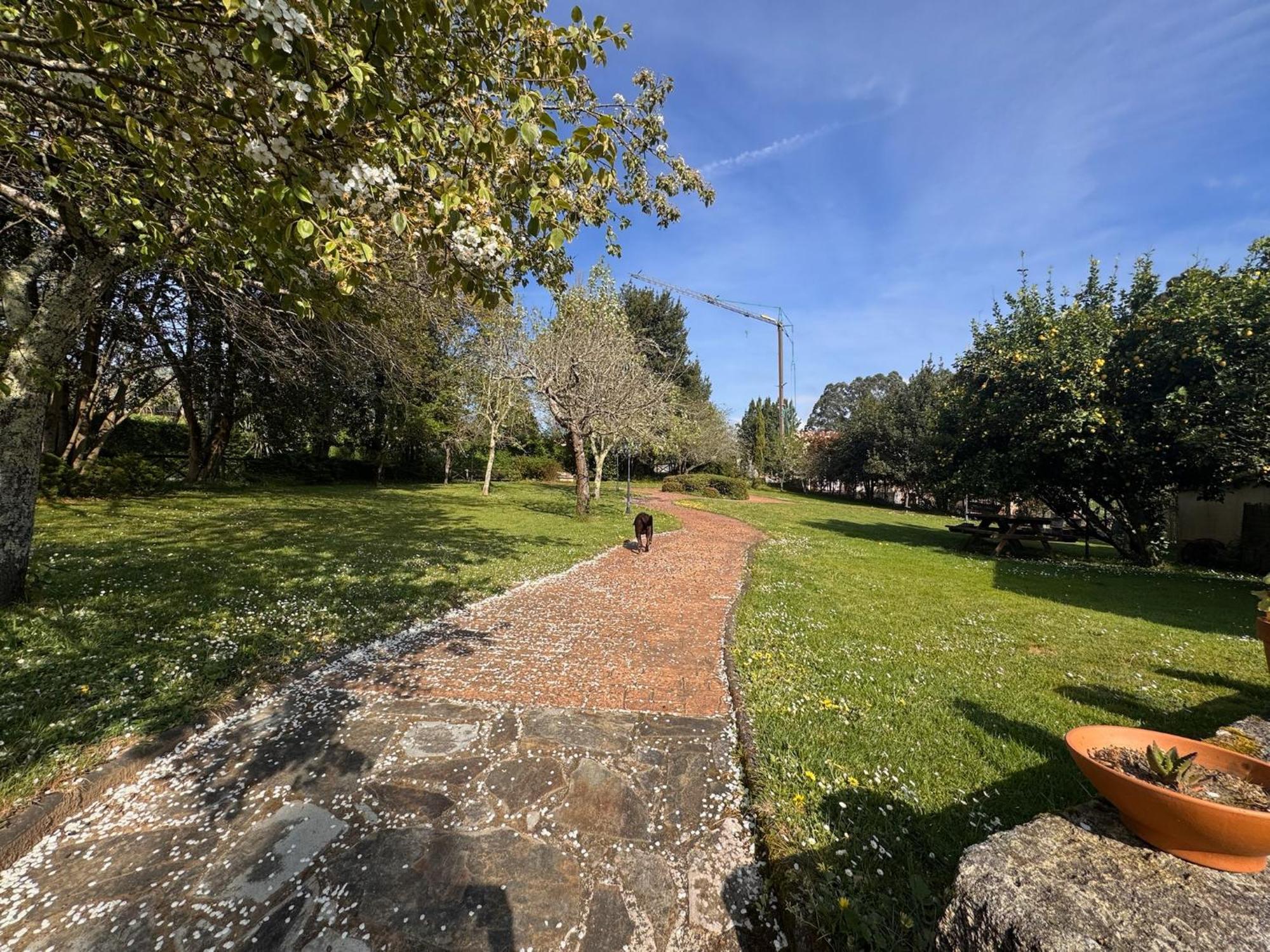 Casa Rural A Cobacha Paderne Luaran gambar